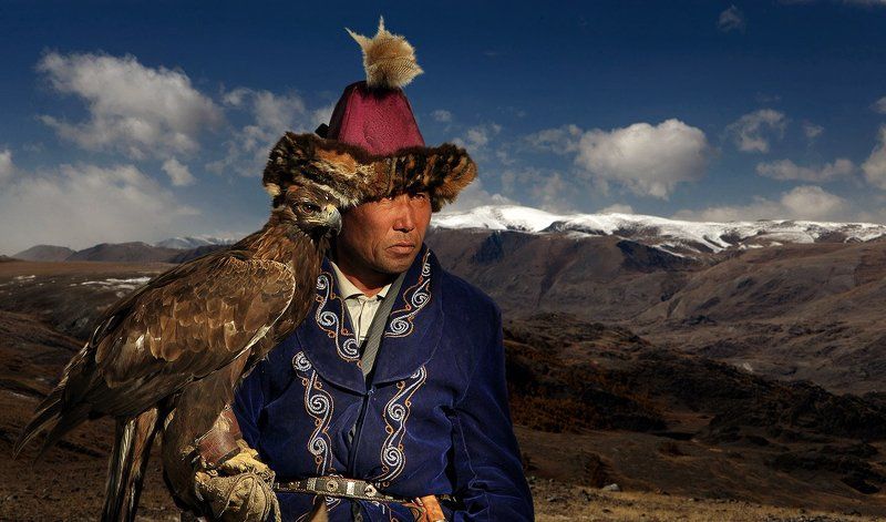 Беркутчи, Ловчая птица, Охота Хищники фото превью