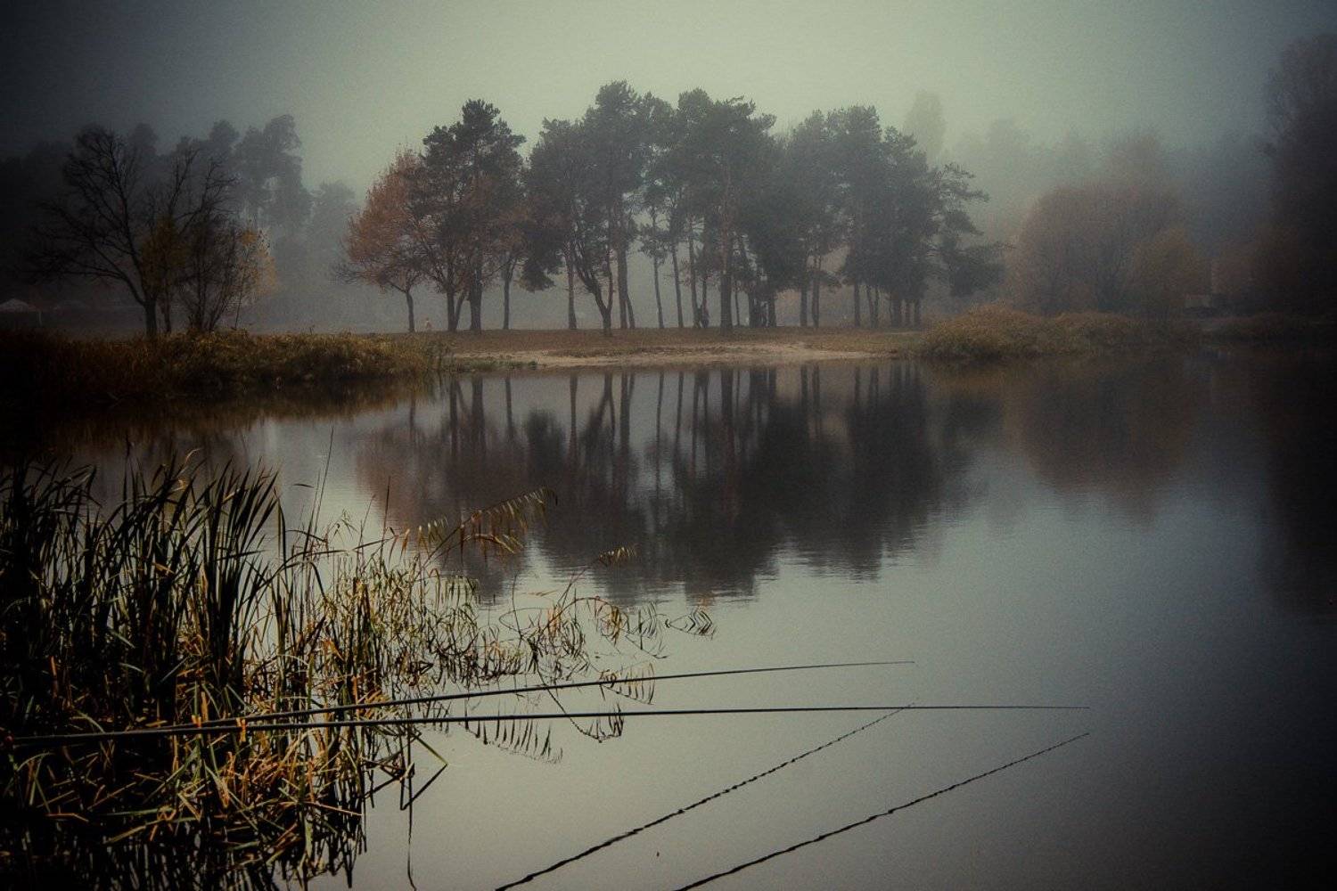 , Олег Скворцов