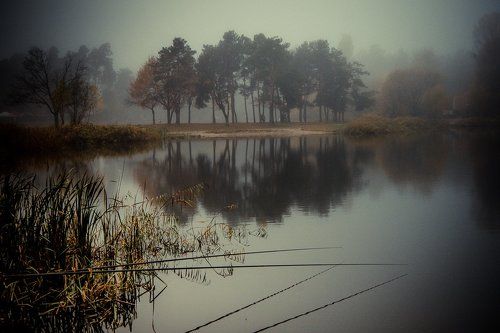 Ранний клев