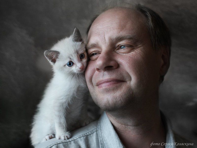 Кот, Котенок, Кошка, Мужской портрет, Мужчина, Портрет, Сергей коляскин Родные души фото превью