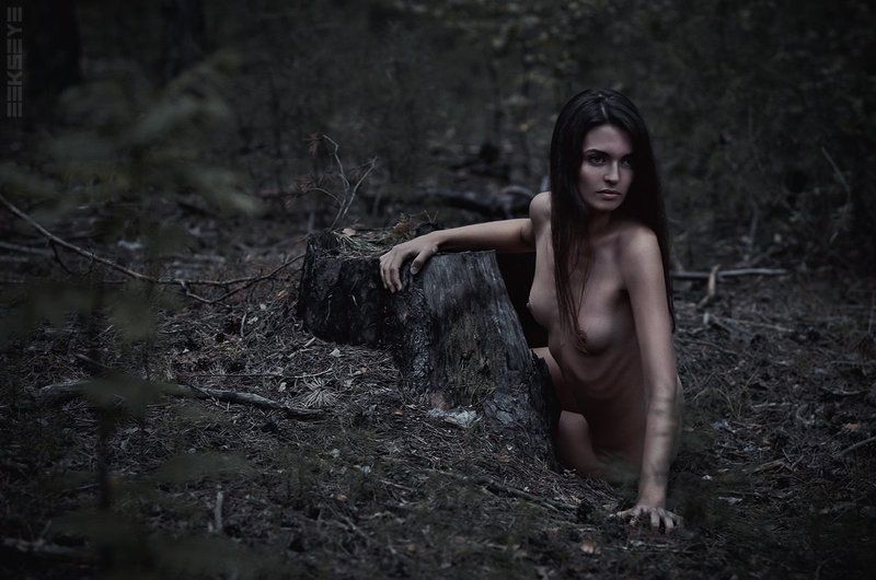 She wolf фото превью