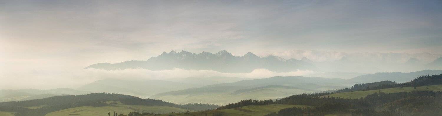 , Вейзе Максим