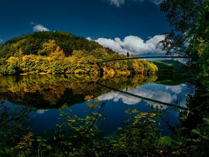 . фото превью
