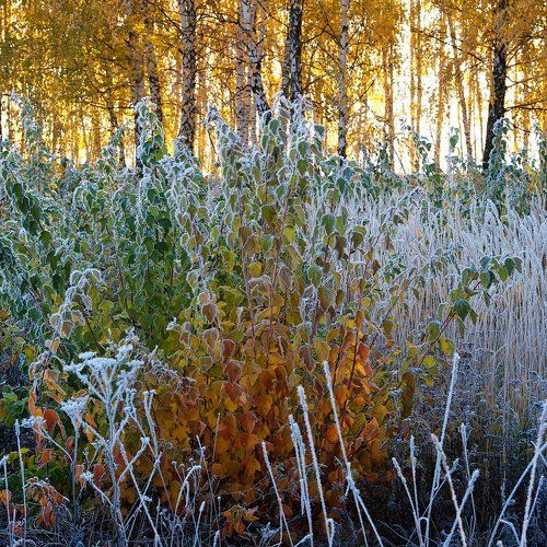 Лето vs Зима?