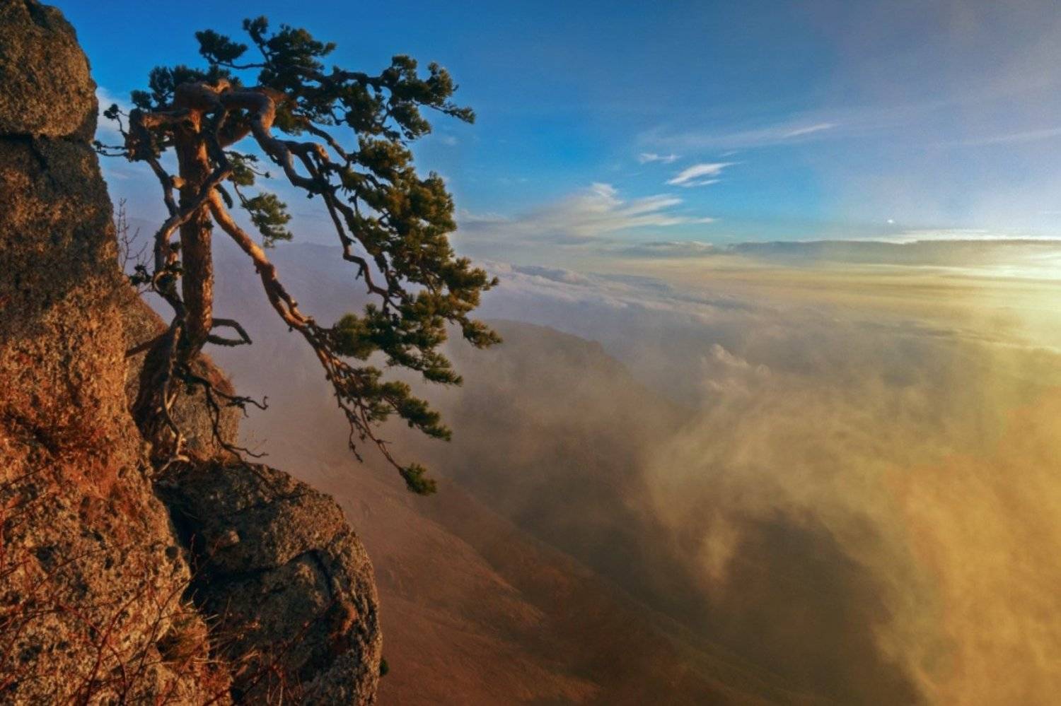 , Валерий Маглена