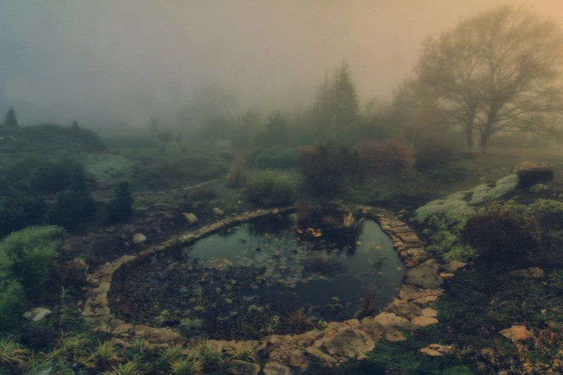 Здесь была Аленушка фото превью