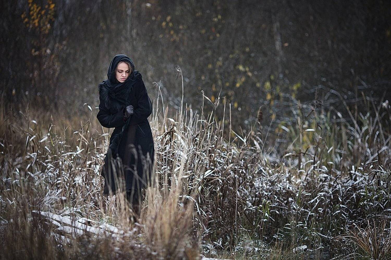 , Денис Циомашко