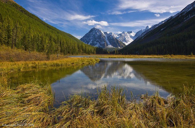 2014, алтай, берег, горы, лиственницы, небо, облака, осень, отражение, пейзаж, река, россия, снег, трава, шавла *** фото превью