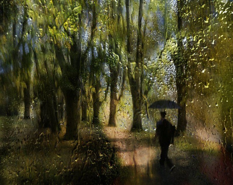 In the rain фото превью