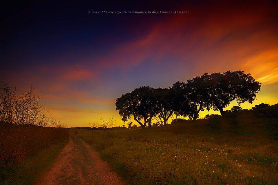 , Paulo Mendon&ccedil;a