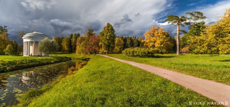 В Павловском парке ... фото превью