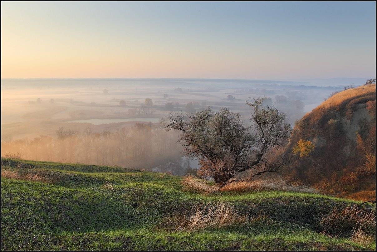 , Михаил (mgk)