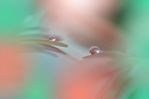 Two Worlds...