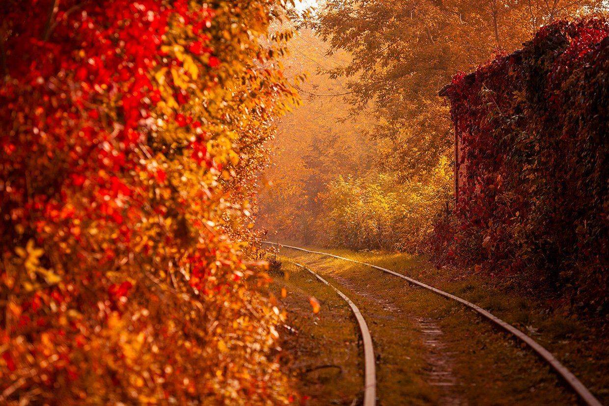 , Гроцкий Дима