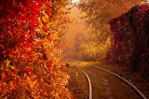 Autumn