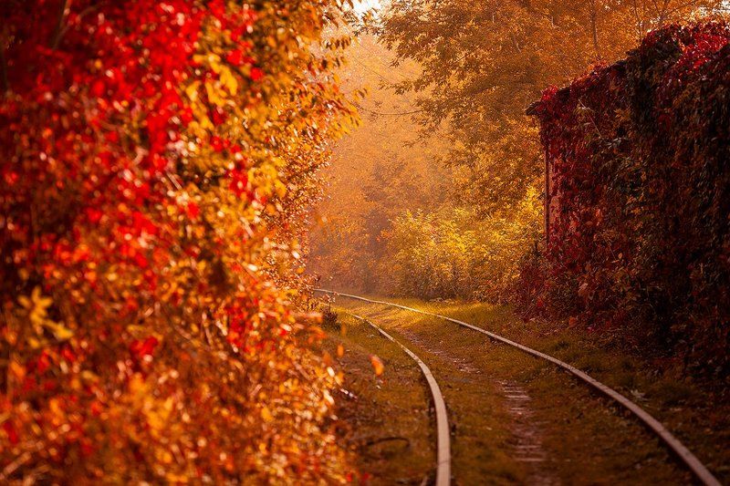 Autumn фото превью