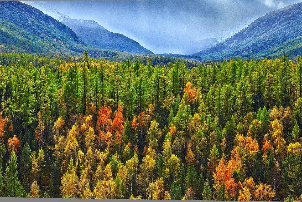 , Качурин Алексей