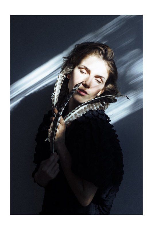 Bird фото превью