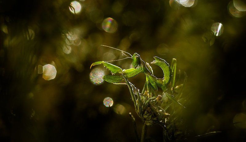 Новое поколение - 2014. фото превью