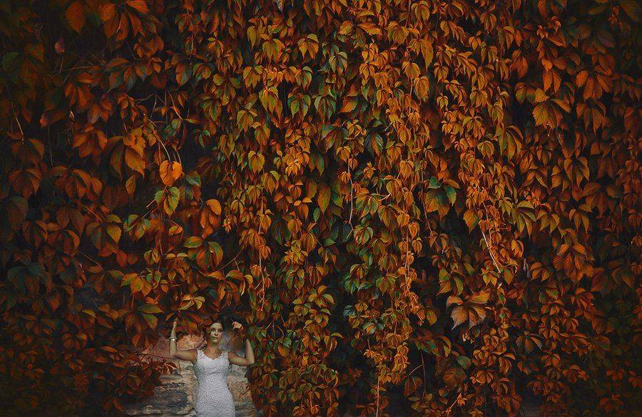 , Гладиш Юрій