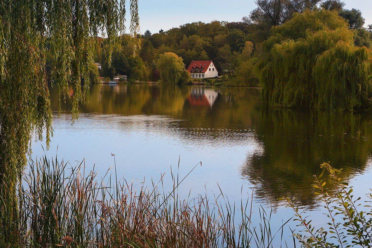 , Игорь Дубровский