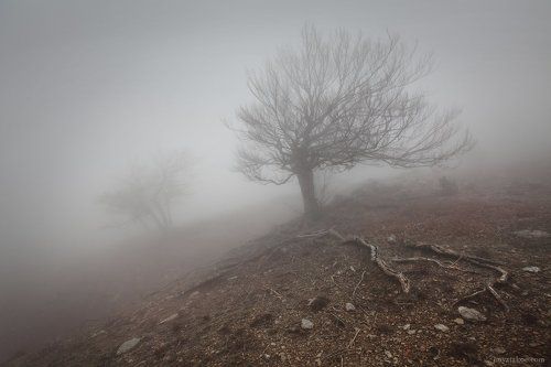 нехорошая погода