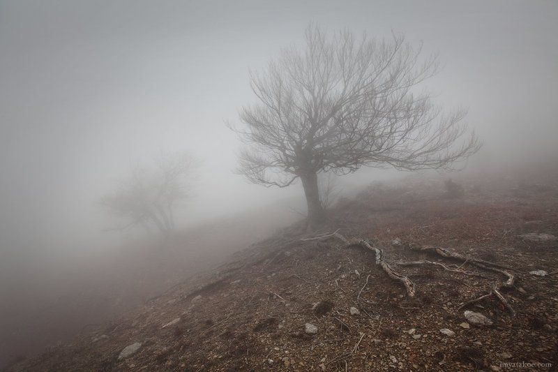 Крым, Туман, Чигинитра нехорошая погода фото превью