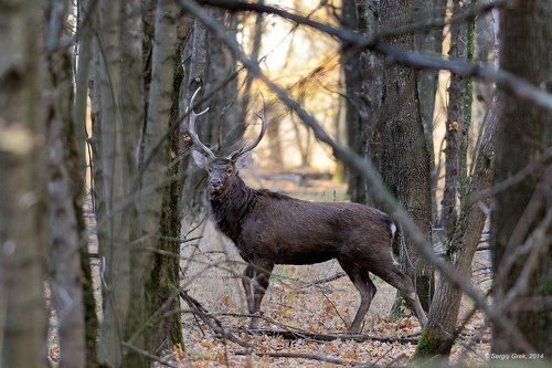 Красавец-мужчина