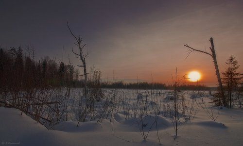 Пурга идёт...