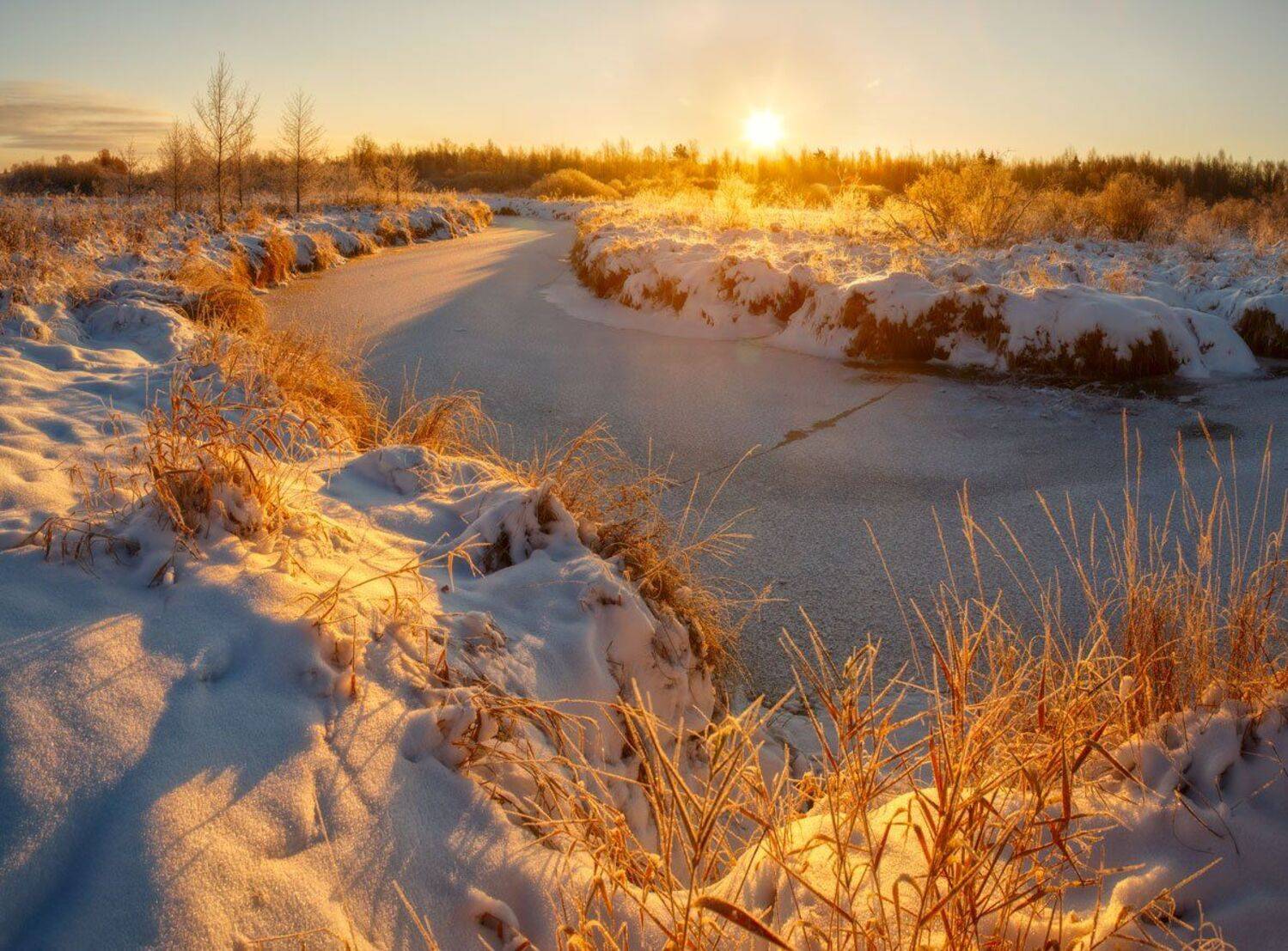 , Хохряков Николай