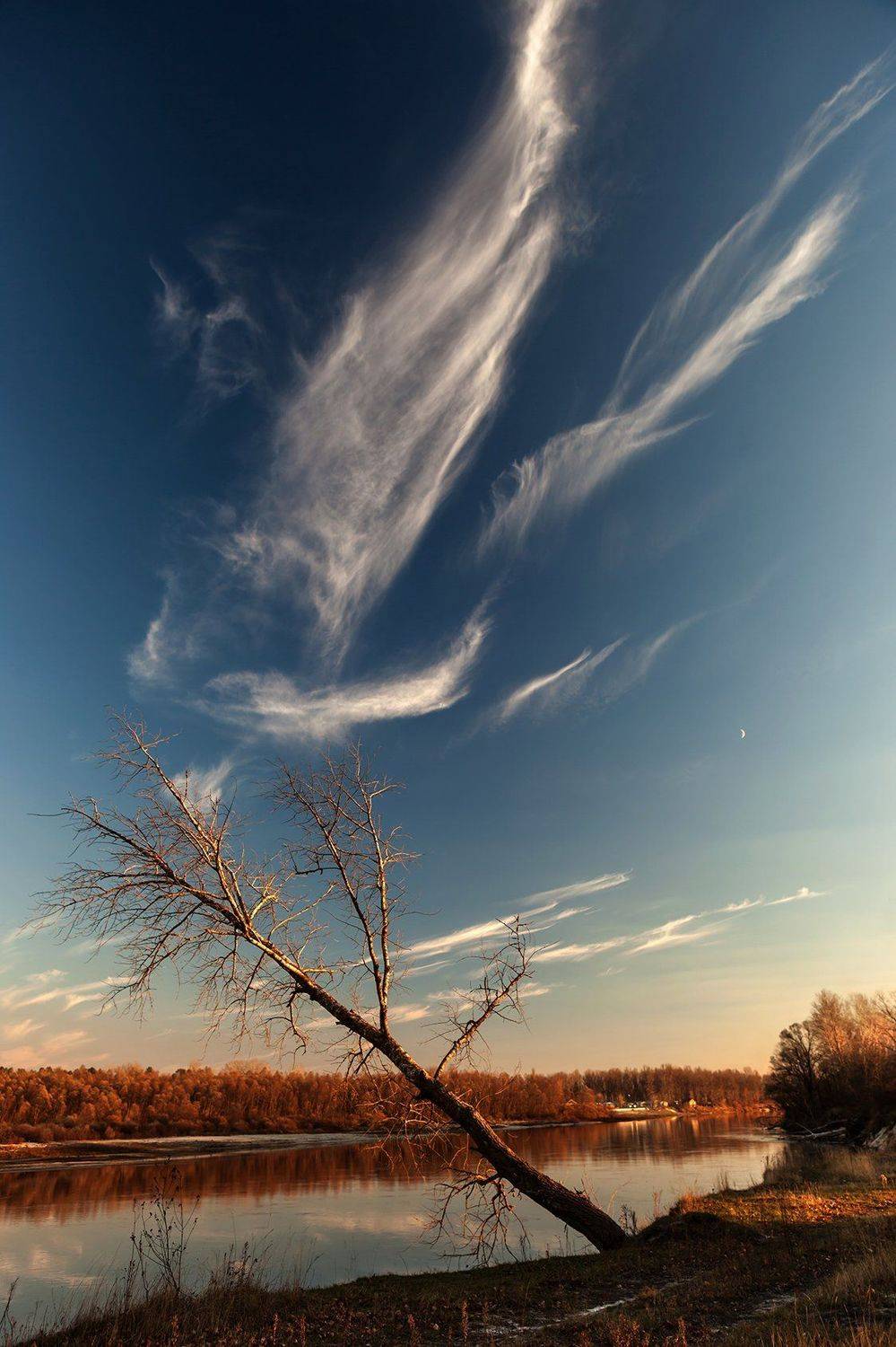 , Света  Черникова