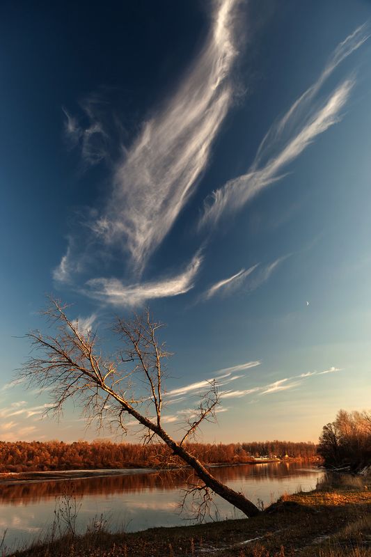 Подари мне крылья... фото превью