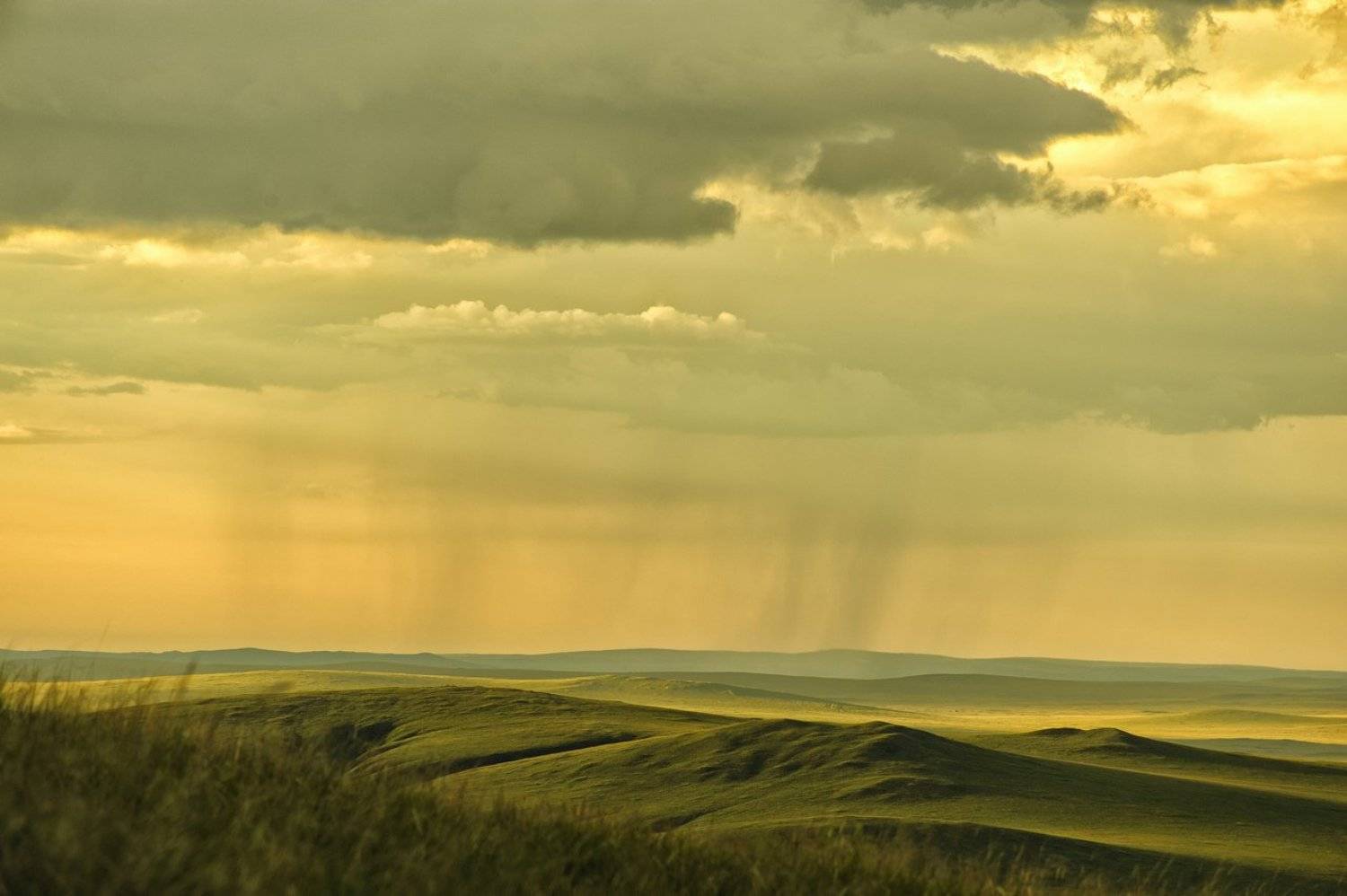 Вечер, Дождь, Забайкальский район, Посёлок Билитуй, Россия, Сибирский федеральный округ, Сопки, Павел Жданов