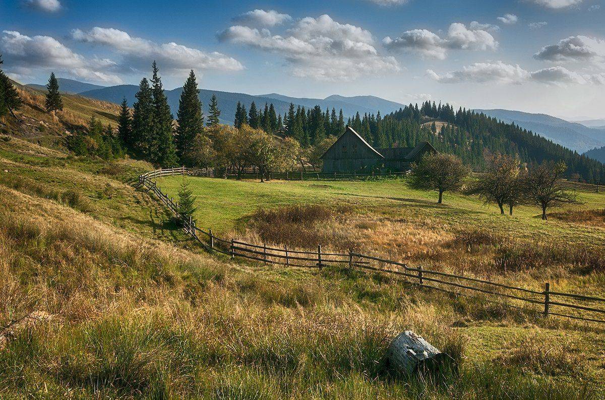 Домик, Забор, Карпаты, flyman