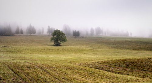 Туманная встреча со Словакией