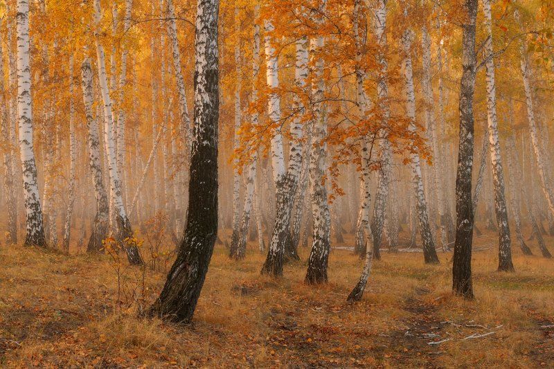 Осенний вальс фото превью