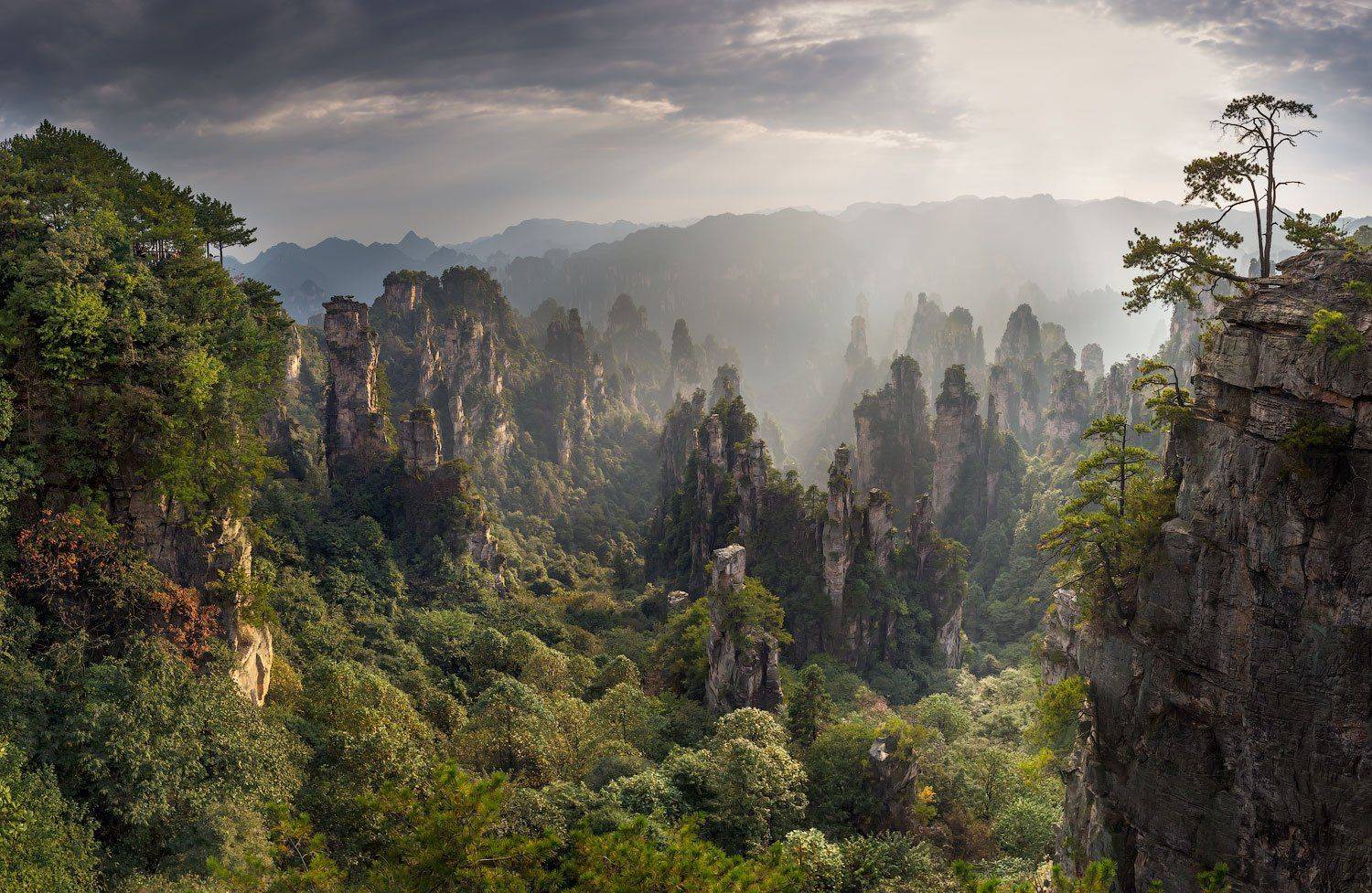 Аватар, Горы, Китай, Пандора, Виктория Роготнева