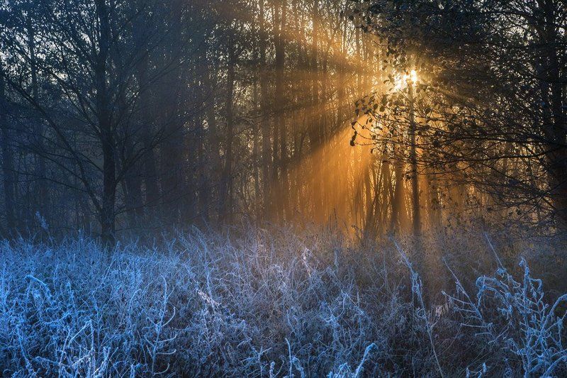 Frost фото превью