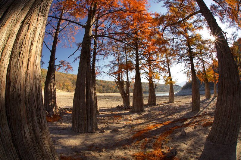 Осень в Сукко фото превью