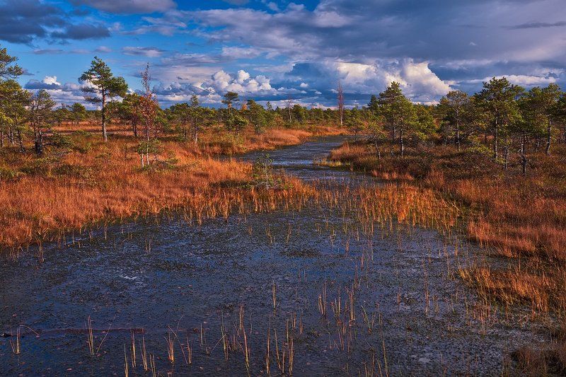 Kemeri National Park фото превью