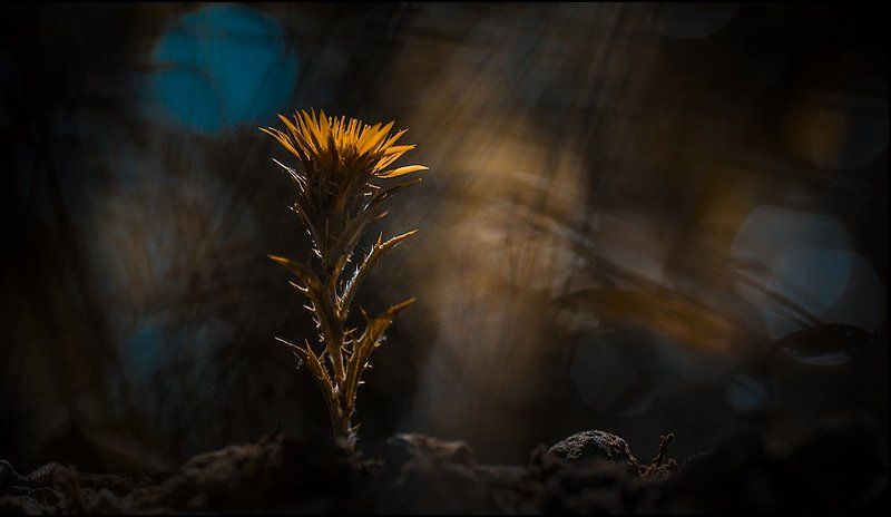 Почему так грустно на душе? фото превью