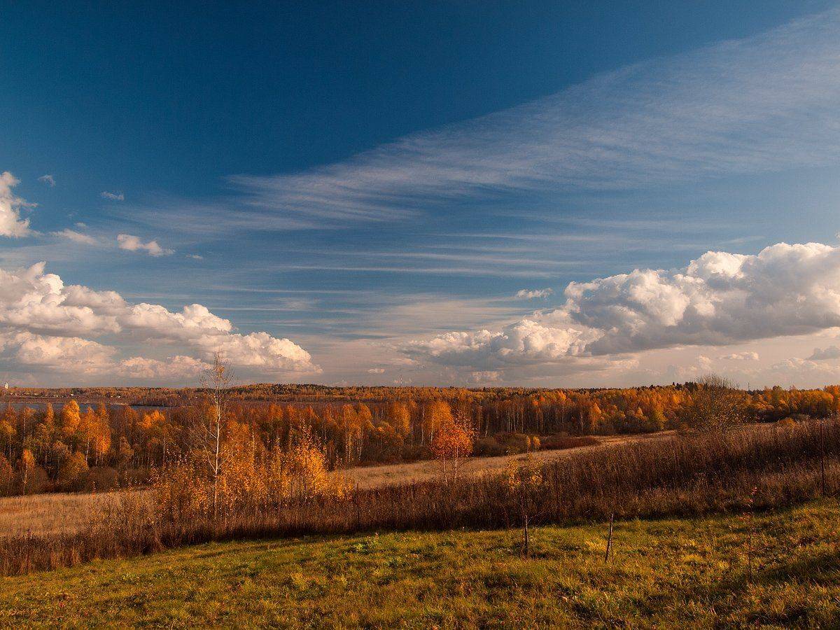 , Владимир Перепечаев
