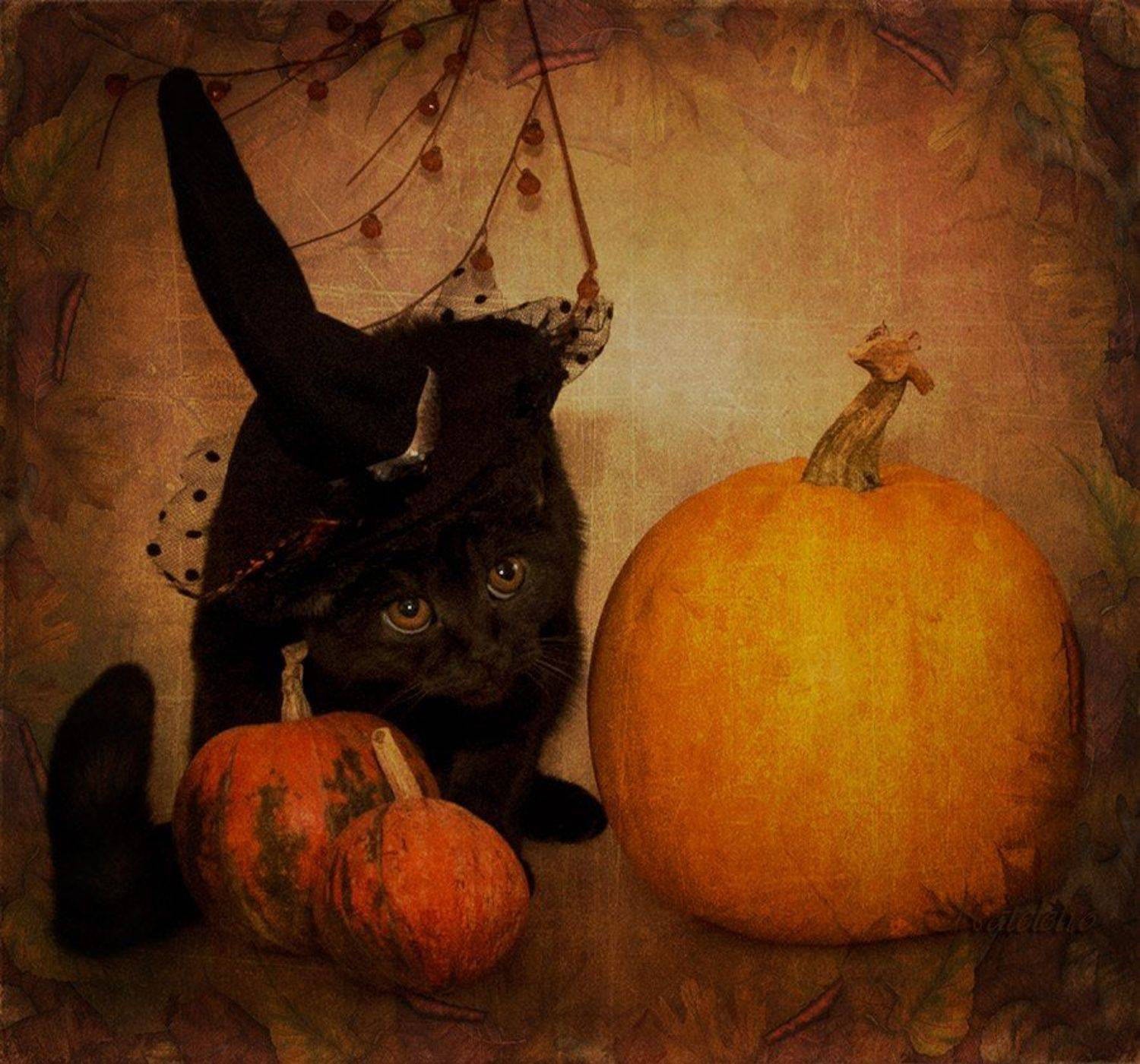 , Наталья Кузнецова (Nateletro)