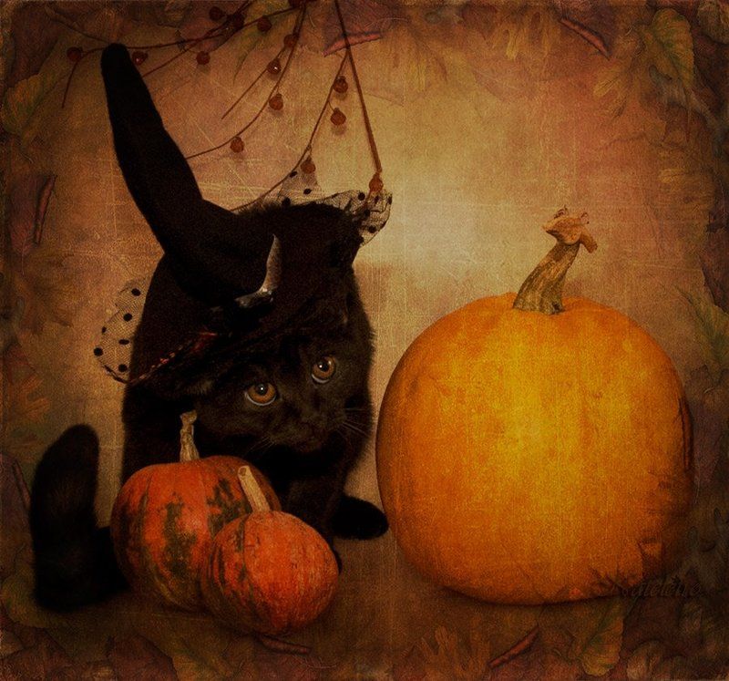 Тыквенно-осеннее... фото превью