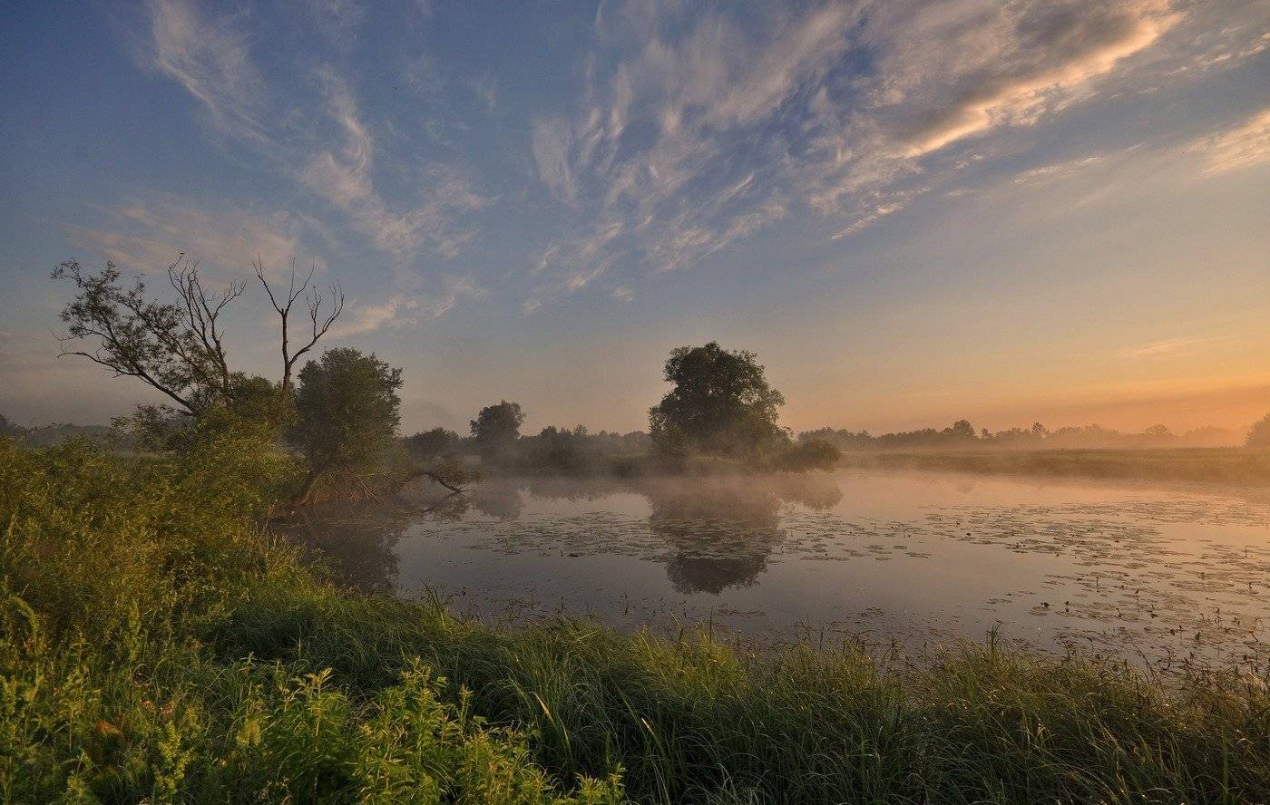 , Володимир Карчевський