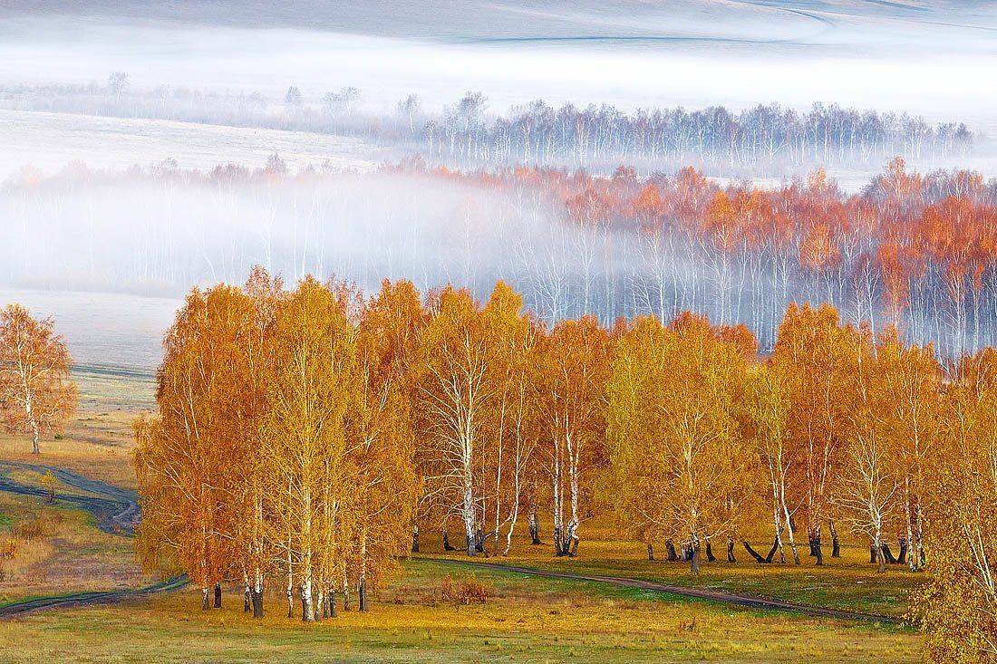 , Качурин Алексей