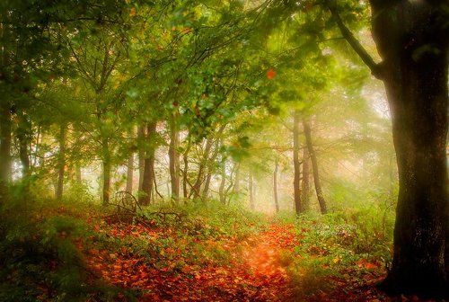 Portrait of a autumn still young