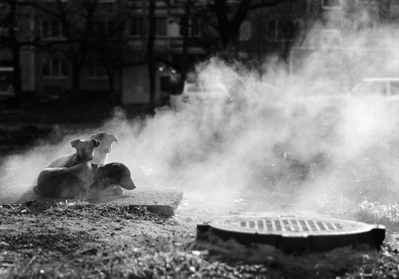 в ожидании тепла фото превью