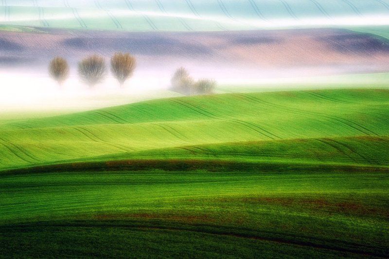 In the fog. фото превью