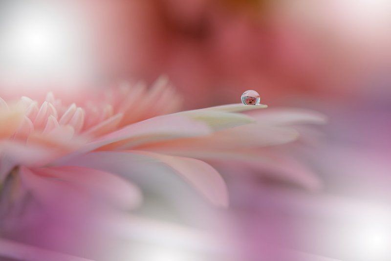 Prism... фото превью